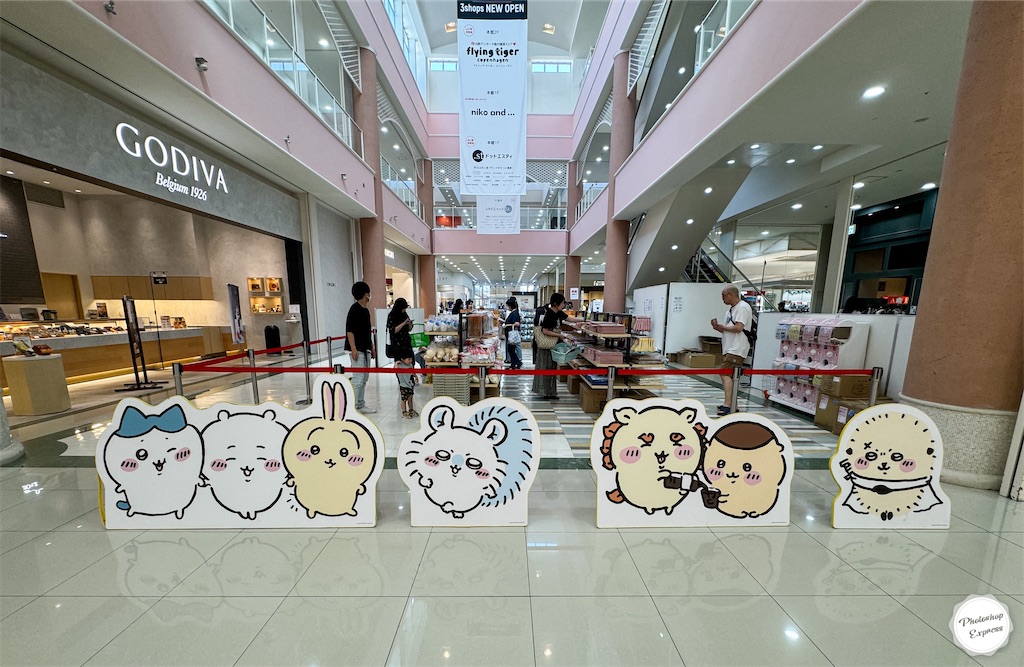 f:id:illust_and_meda0301:20240906080152j:image