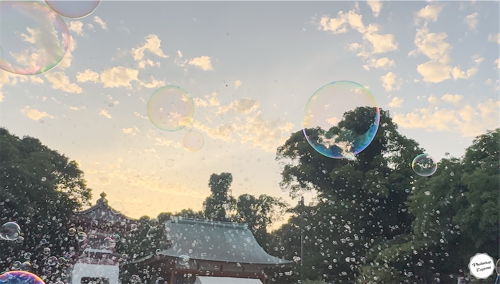 f:id:illust_and_meda0301:20250708142945j:image