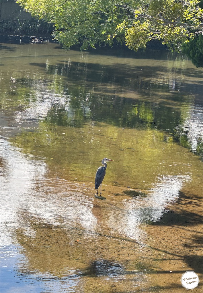 f:id:illust_and_meda0301:20251024204331j:image f:id:illust_and_meda0301:20251024204331j:image