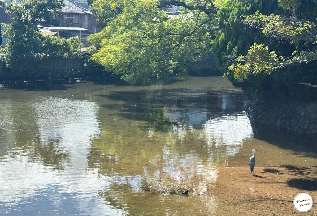 f:id:illust_and_meda0301:20251024204353j:image f:id:illust_and_meda0301:20251024204353j:image