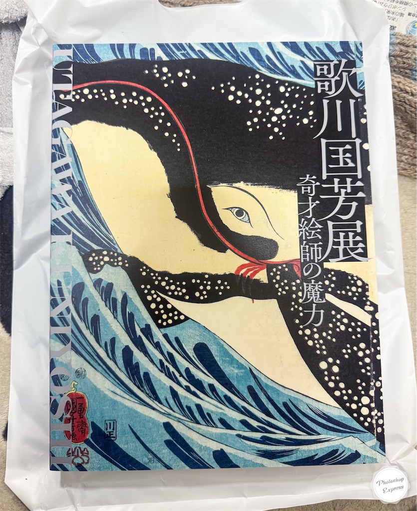 f:id:illust_and_meda0301:20251122155647j:image