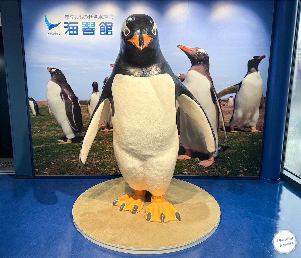 ペンギンの住む村🐧 - LIFE is medaka