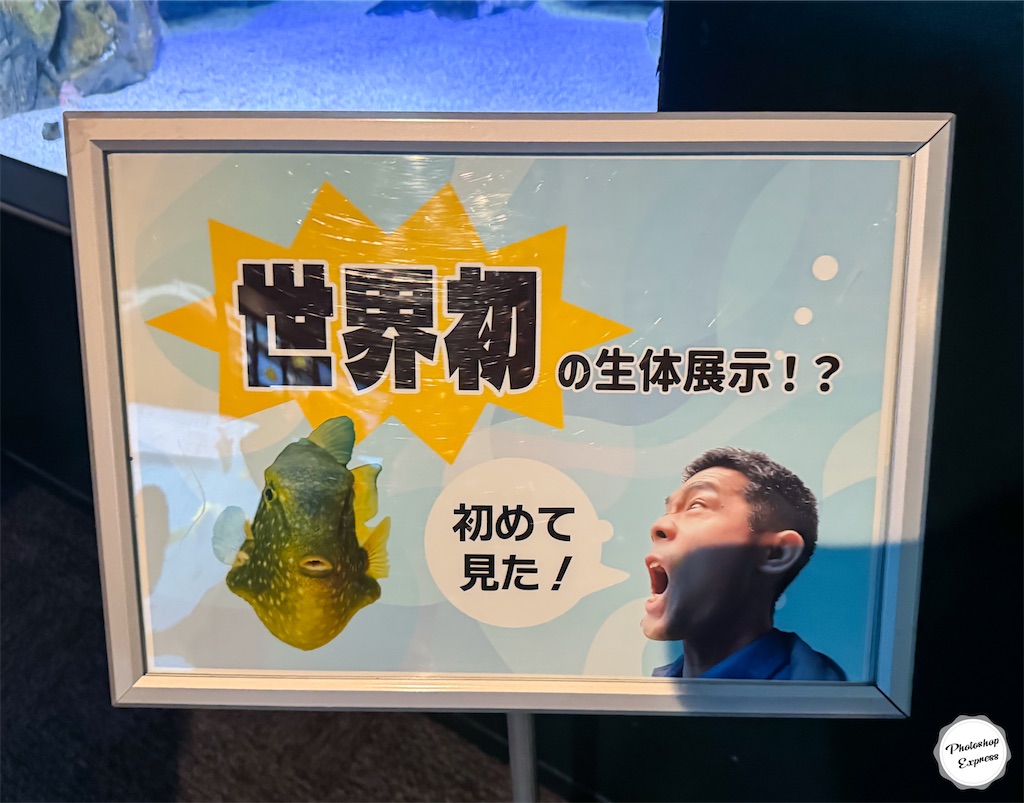 f:id:illust_and_meda0301:20260326164228j:image