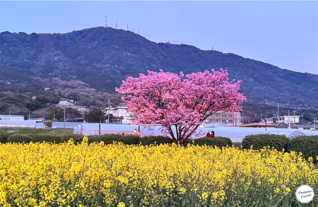 f:id:illust_and_meda0301:20260401211300j:image