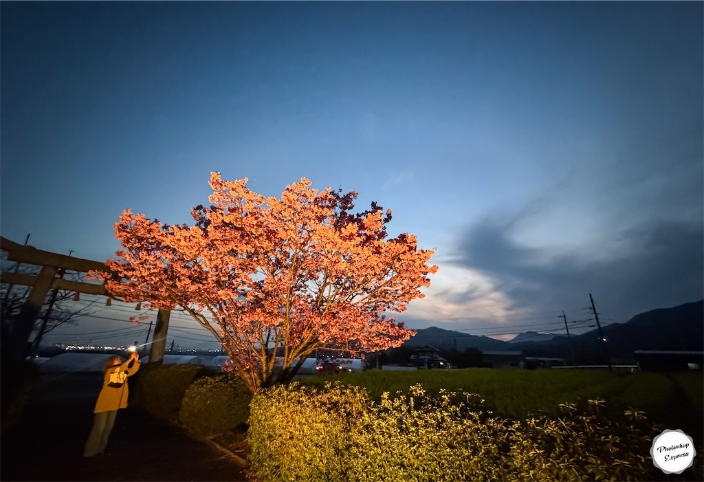f:id:illust_and_meda0301:20260401211556j:image f:id:illust_and_meda0301:20260401211556j:image
