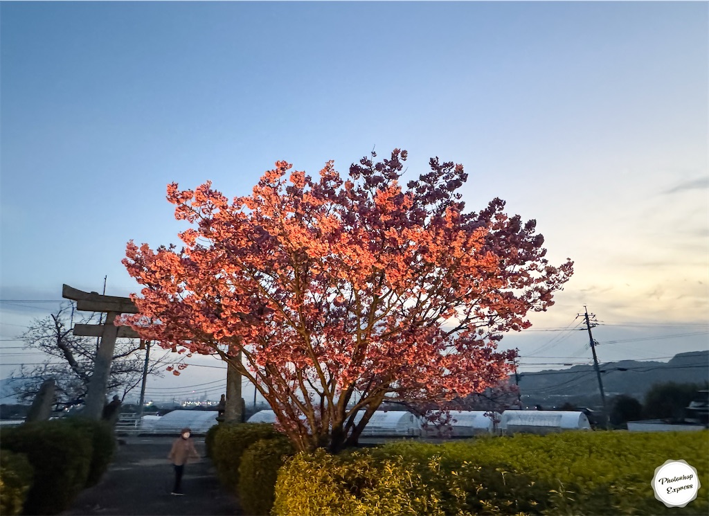 f:id:illust_and_meda0301:20260401211610j:image f:id:illust_and_meda0301:20260401211610j:image