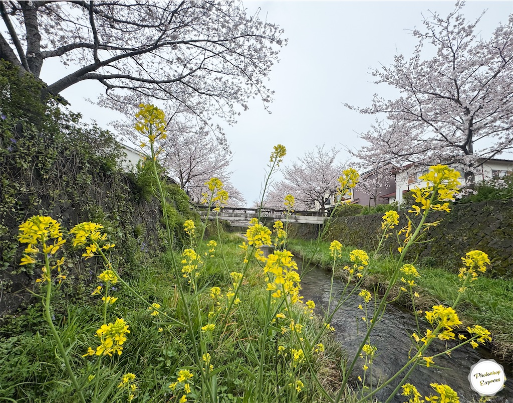 f:id:illust_and_meda0301:20260404132935j:image