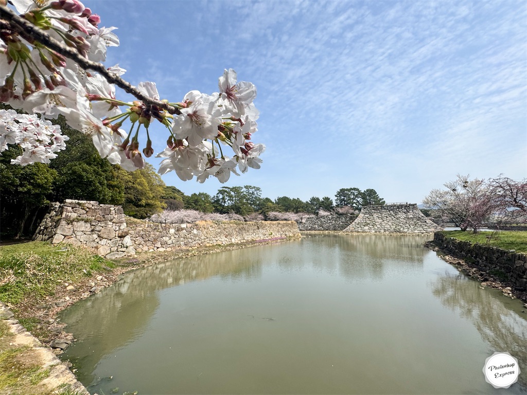 f:id:illust_and_meda0301:20260407145603j:image