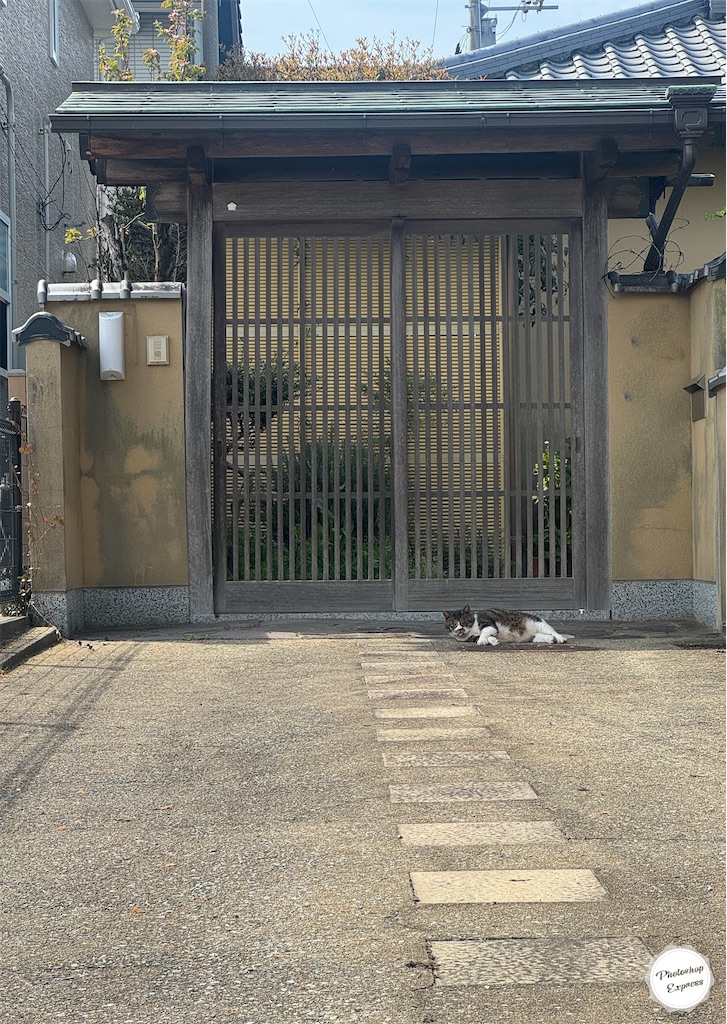 f:id:illust_and_meda0301:20260407145751j:image