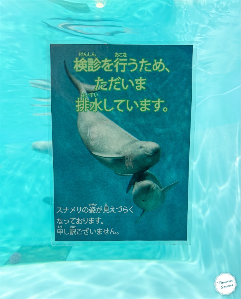f:id:illust_and_meda0301:20260410130452j:image