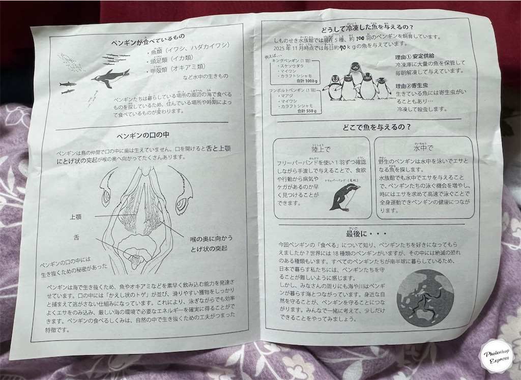 f:id:illust_and_meda0301:20260416192559j:image
