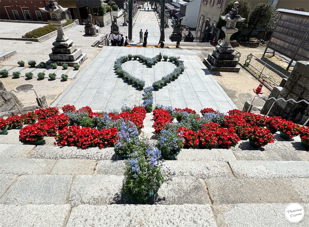 f:id:illust_and_meda0301:20260426093601j:image