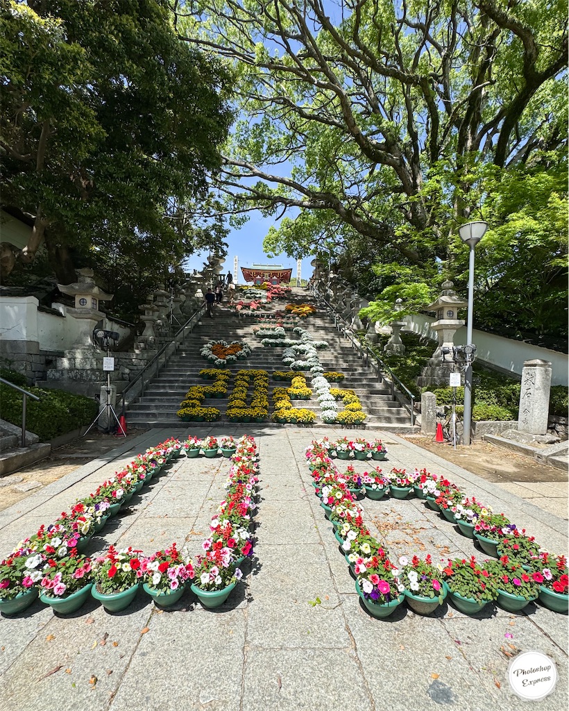 f:id:illust_and_meda0301:20260426093608j:image