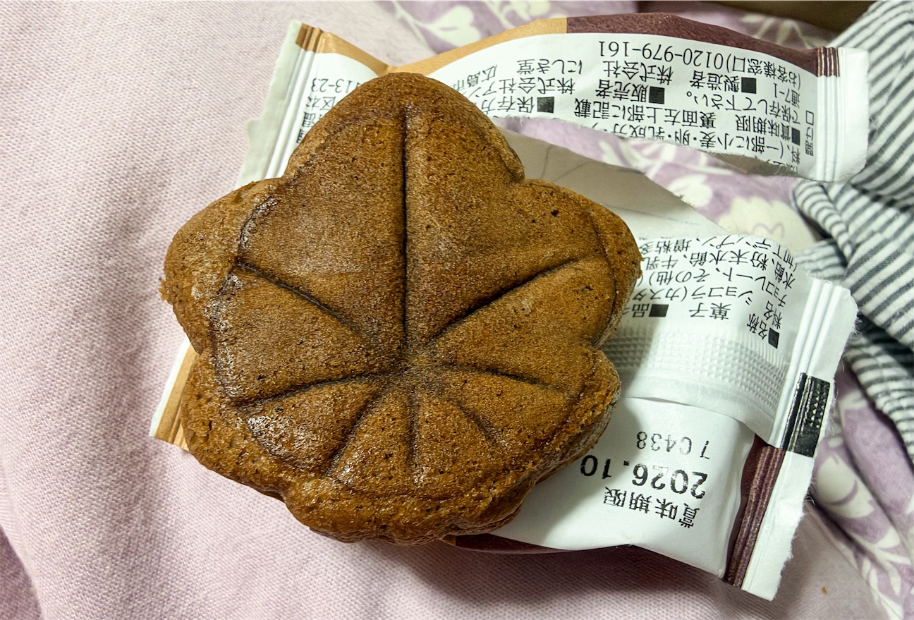 f:id:illust_and_meda0301:20261015084219j:image