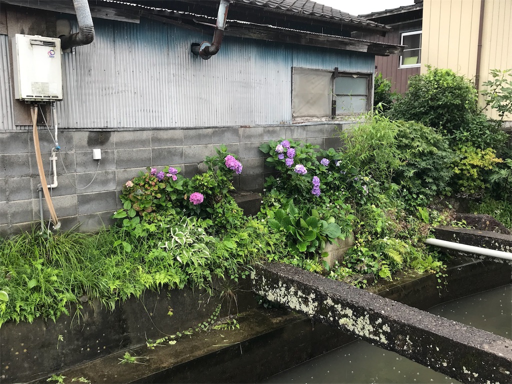 f:id:ilohass:20190712001534j:image