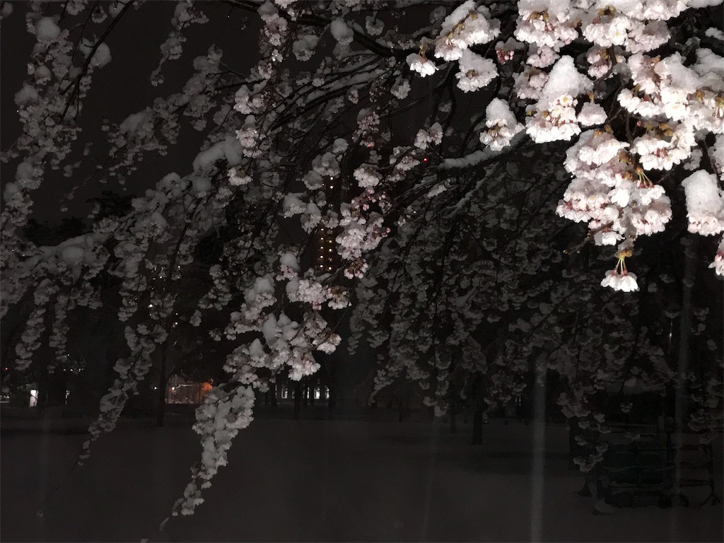 f:id:ilohass:20190716231901j:image