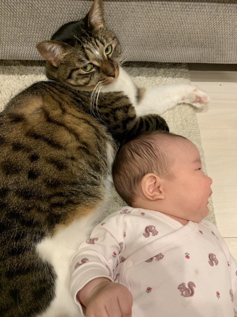 f:id:ilovemeziro:20181119024547j:plain f:id:ilovemeziro:20181119024547j:plain