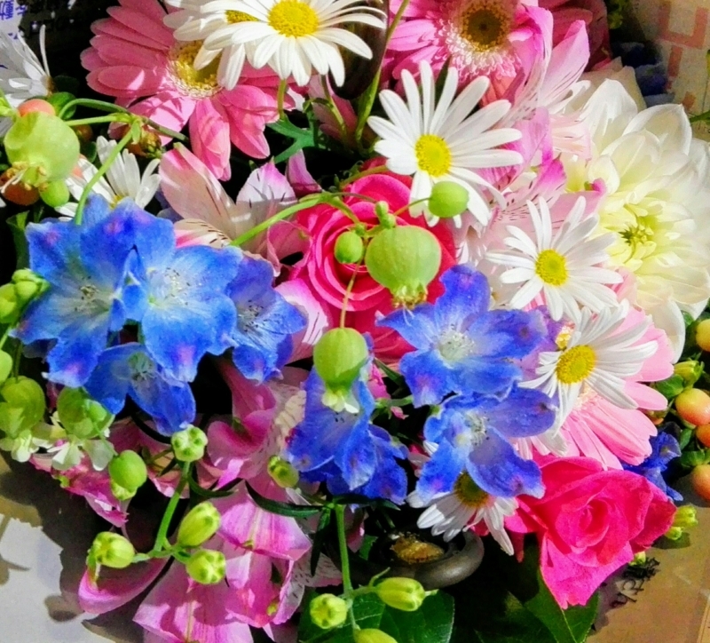 f:id:ilovenatto:20180329200135j:image