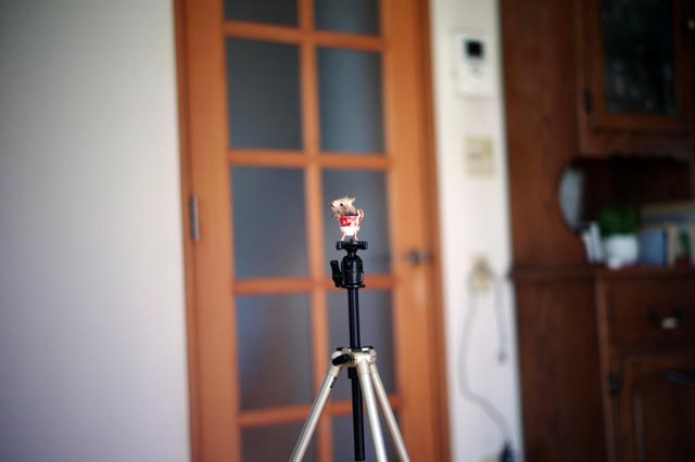 f:id:ilovephoto:20201216003033j:plain