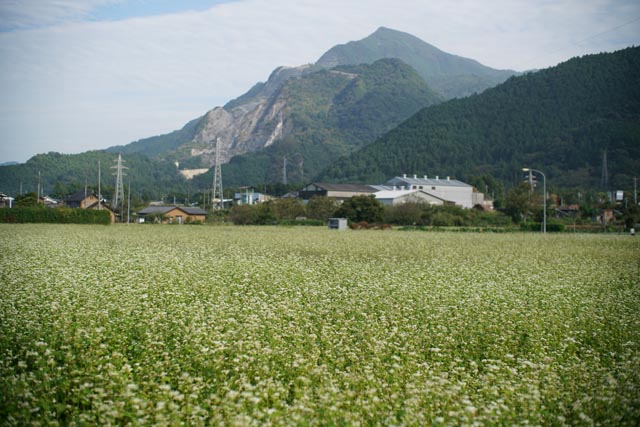 f:id:ilovephoto:20201216235541j:plain