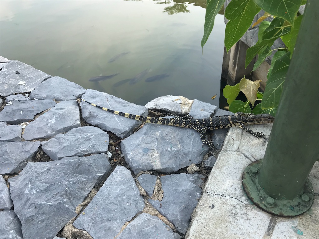 f:id:iloveroyalgems:20180416164401j:image f:id:iloveroyalgems:20180416164401j:image