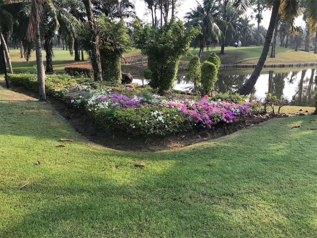 f:id:iloveroyalgems:20190112203647j:image f:id:iloveroyalgems:20190112203647j:image