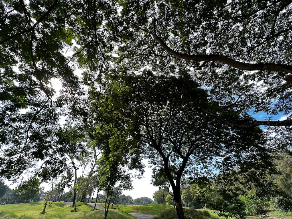 f:id:iloveroyalgems:20211122093719j:image f:id:iloveroyalgems:20211122093719j:image