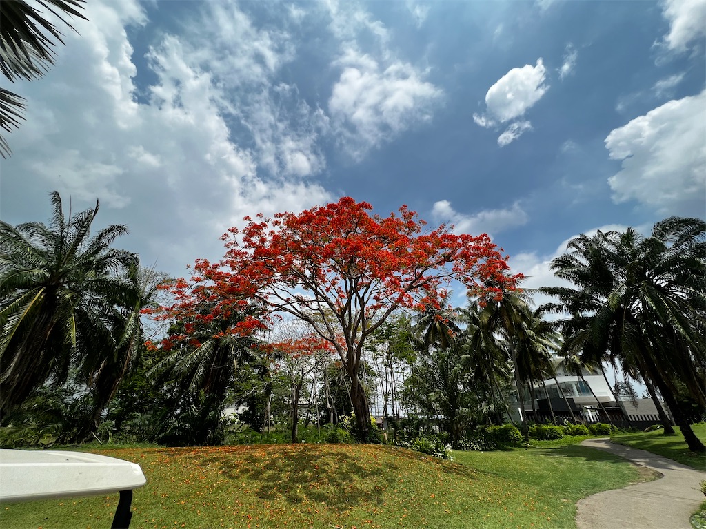 f:id:iloveroyalgems:20220507171714j:image f:id:iloveroyalgems:20220507171714j:image