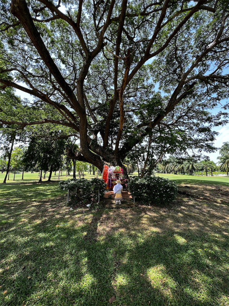 f:id:iloveroyalgems:20220528221238j:image