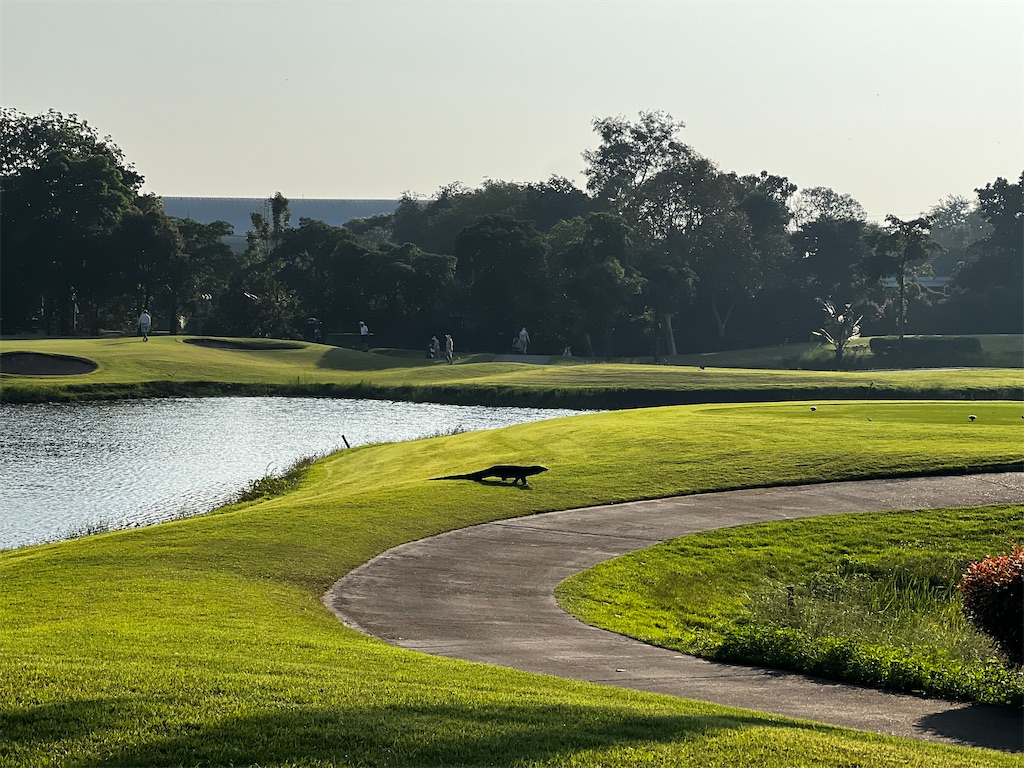 f:id:iloveroyalgems:20221217202518j:image f:id:iloveroyalgems:20221217202518j:image