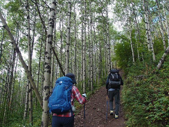 f:id:ilovewintergreen:20141220124139j:plain f:id:ilovewintergreen:20141220124139j:plain