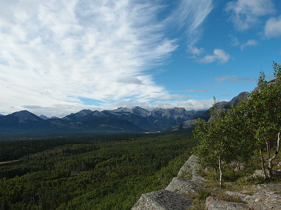 f:id:ilovewintergreen:20141220124141j:plain f:id:ilovewintergreen:20141220124141j:plain