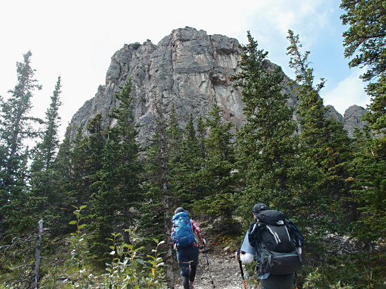 f:id:ilovewintergreen:20141220124145j:plain f:id:ilovewintergreen:20141220124145j:plain