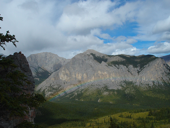 f:id:ilovewintergreen:20141220124147j:plain f:id:ilovewintergreen:20141220124147j:plain