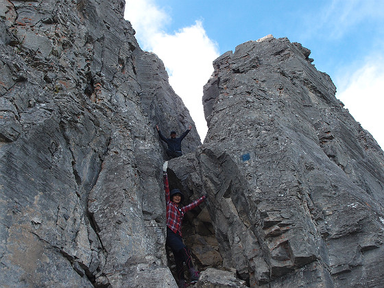 f:id:ilovewintergreen:20141220124148j:plain f:id:ilovewintergreen:20141220124148j:plain