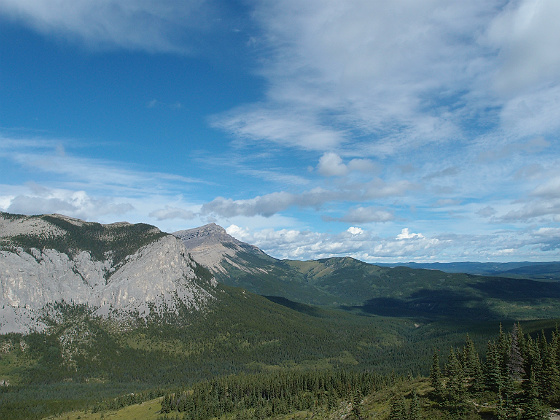 f:id:ilovewintergreen:20141220124149j:plain f:id:ilovewintergreen:20141220124149j:plain