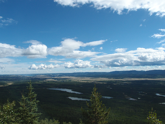 f:id:ilovewintergreen:20141220124151j:plain f:id:ilovewintergreen:20141220124151j:plain