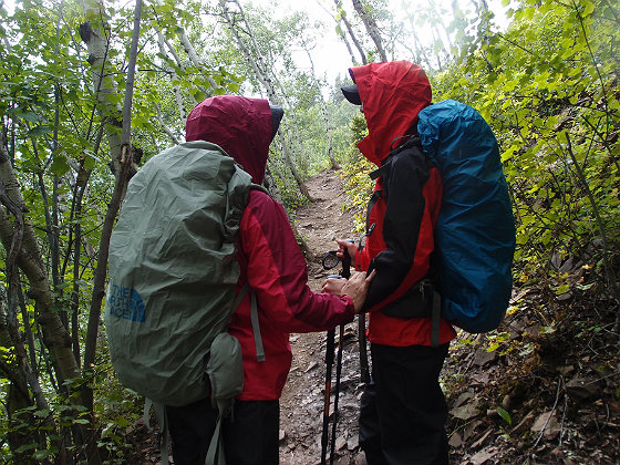 f:id:ilovewintergreen:20141220124154j:plain f:id:ilovewintergreen:20141220124154j:plain