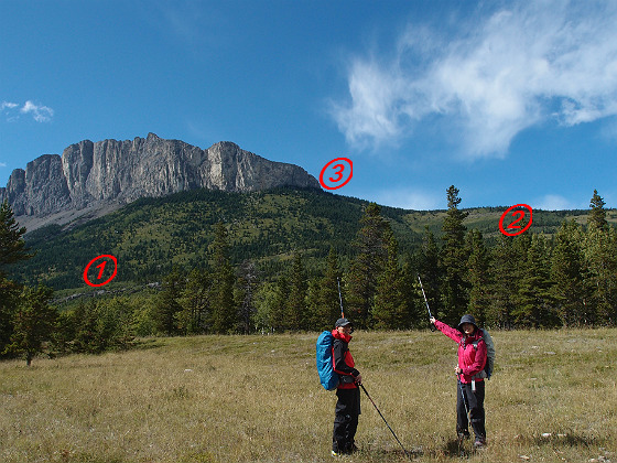 f:id:ilovewintergreen:20141220124155j:plain f:id:ilovewintergreen:20141220124155j:plain