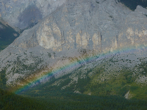 f:id:ilovewintergreen:20141220131057j:plain f:id:ilovewintergreen:20141220131057j:plain