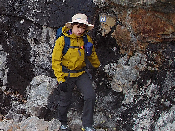 f:id:ilovewintergreen:20160802164029j:plain f:id:ilovewintergreen:20160802164029j:plain