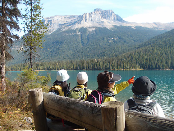 f:id:ilovewintergreen:20161014091257j:plain f:id:ilovewintergreen:20161014091257j:plain