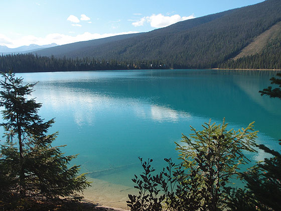 f:id:ilovewintergreen:20161014091259j:plain f:id:ilovewintergreen:20161014091259j:plain