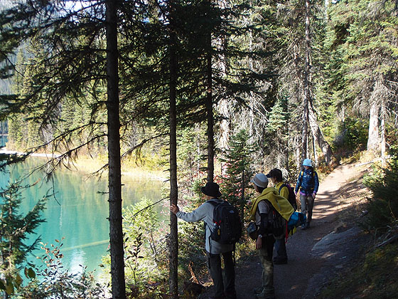 f:id:ilovewintergreen:20161014091300j:plain f:id:ilovewintergreen:20161014091300j:plain