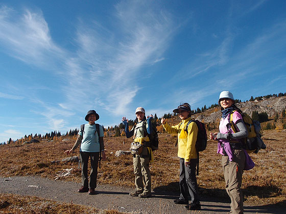 f:id:ilovewintergreen:20161015095859j:plain f:id:ilovewintergreen:20161015095859j:plain