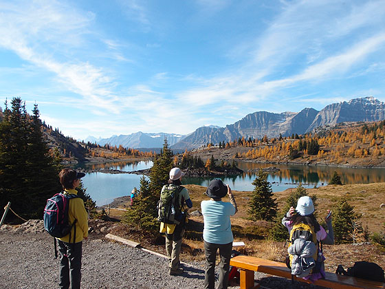 f:id:ilovewintergreen:20161015095901j:plain f:id:ilovewintergreen:20161015095901j:plain