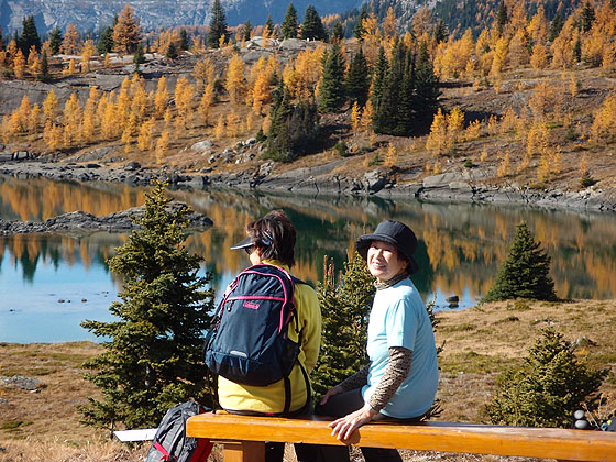 f:id:ilovewintergreen:20161015095906j:plain f:id:ilovewintergreen:20161015095906j:plain