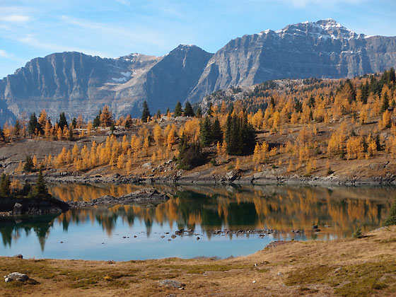 f:id:ilovewintergreen:20161015095907j:plain f:id:ilovewintergreen:20161015095907j:plain