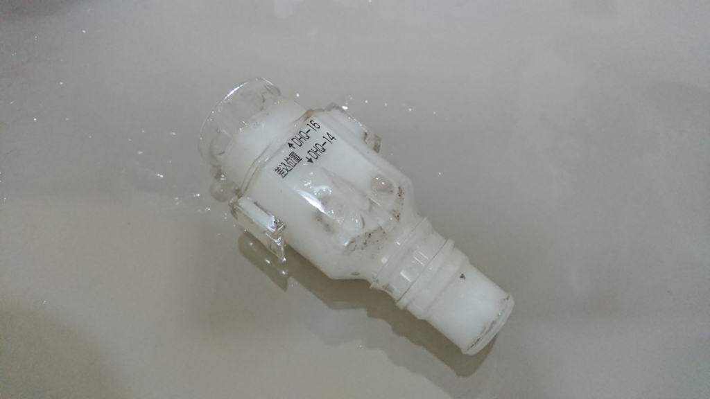 おとめちゃんが動かない 典型的b型の自由な日記 おとめちゃんが動かない 典型的b型の自由な日記