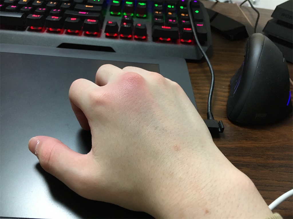 f:id:im0084mirage:20191111220531j:plain